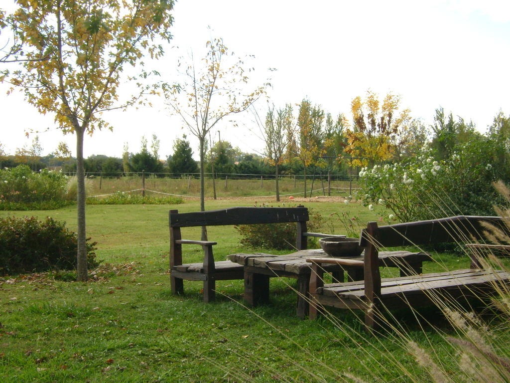 El Ranchito De Areco Villa San Antonio de Areco Exteriör bild