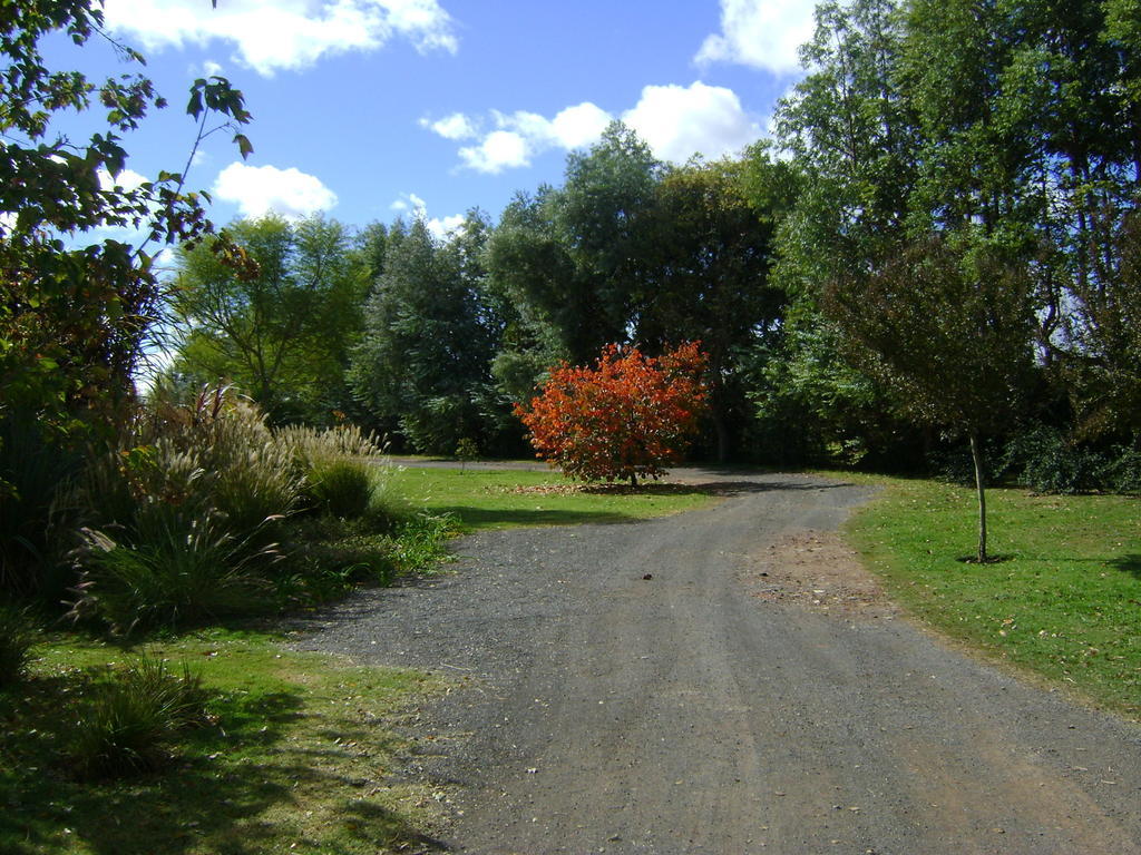 El Ranchito De Areco Villa San Antonio de Areco Exteriör bild