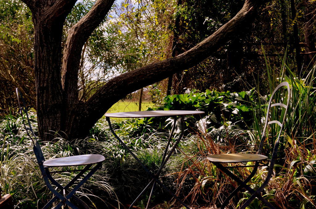 El Ranchito De Areco Villa San Antonio de Areco Exteriör bild