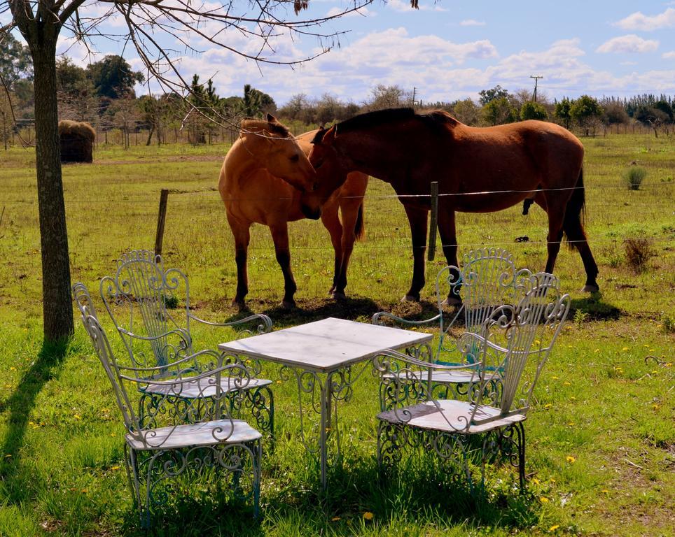 El Ranchito De Areco Villa San Antonio de Areco Exteriör bild